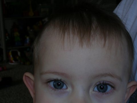 03122006 (4)